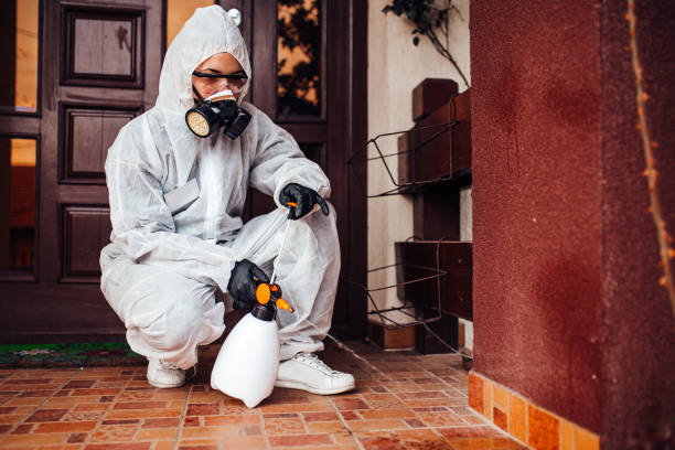 Reliable Cockroach Control contractor in Yalaha, FL by Nex Pest Control
